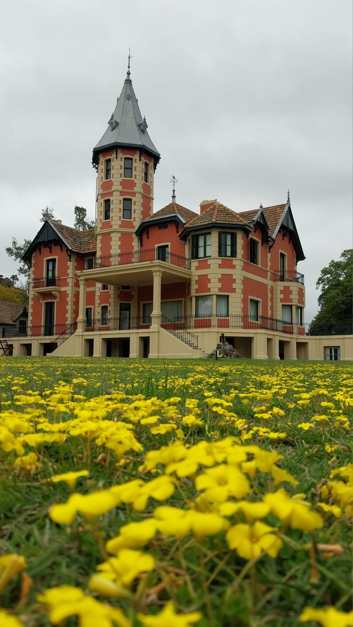 Algunos paisajes que Matías muestra en su libro.