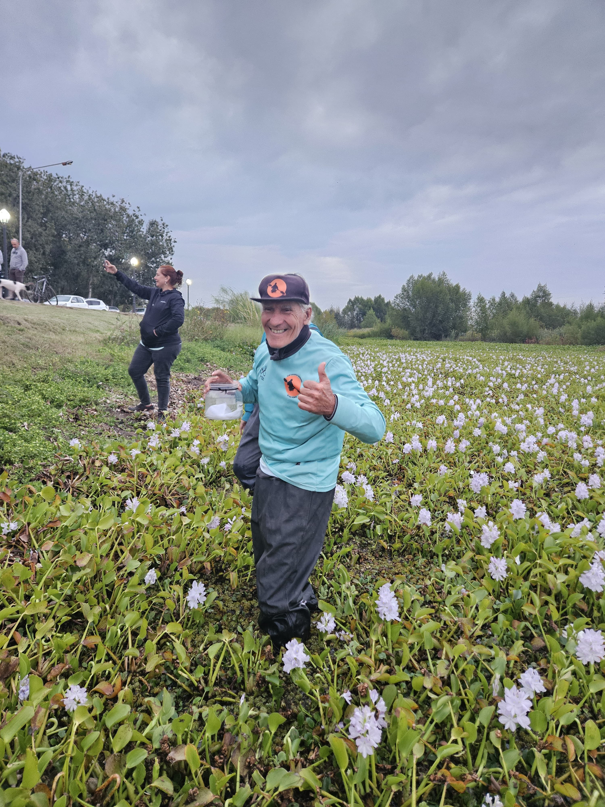 La liberación de los insectos en la laguna de San Vicente se realizó en la tarde de este martes.