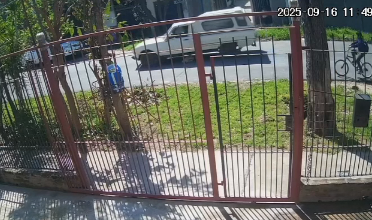 La camioneta atropell&oacute; dos veces a la perra.&nbsp;