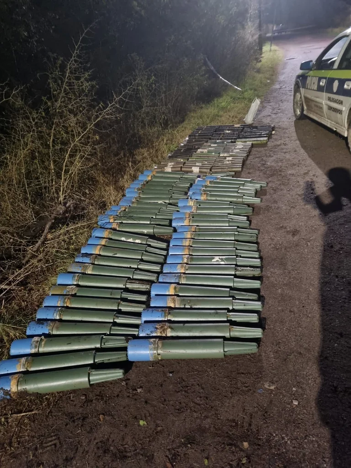 Explosivos en Ezeiza: qué se sabe del arsenal encontrado en el camping