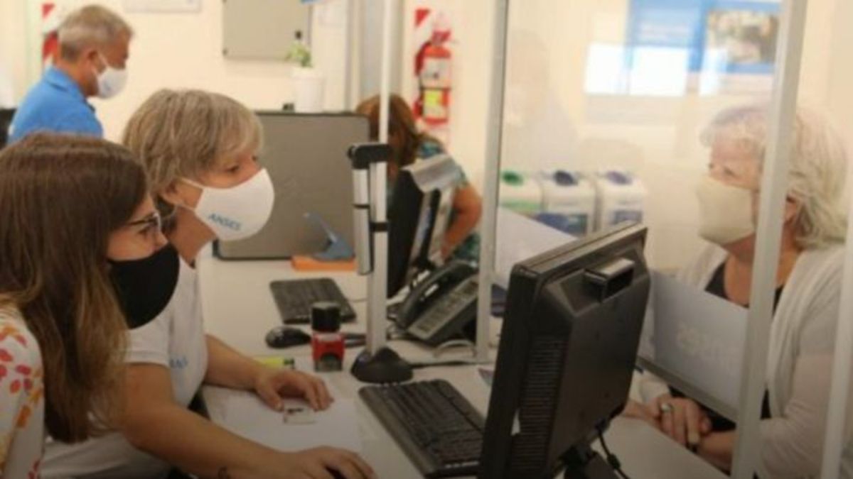 Anses: cómo inscribirse para cobrar $3.600 de las Becas Progresar
