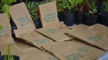 Lomas lanza la entrega de semillas: cómo participar y dónde ir