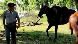 la escuela agraria n°1 de san vicente celebro sus 40 anos con la expo educativa 2025