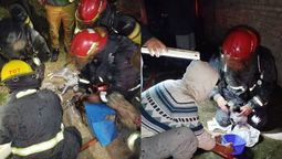 bomberos de almirante brown reanimaron a cuatro animales tras un feroz incendio