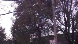 ezeiza: operativo por un incendio en cables de alta tension