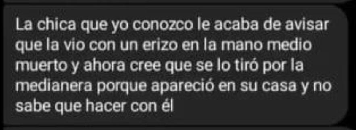 Los mensajes que le enviaron los vecinos de Monte Grande a Beatriz.