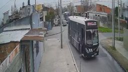 lomas: colectivero atropello una perra y la abandono