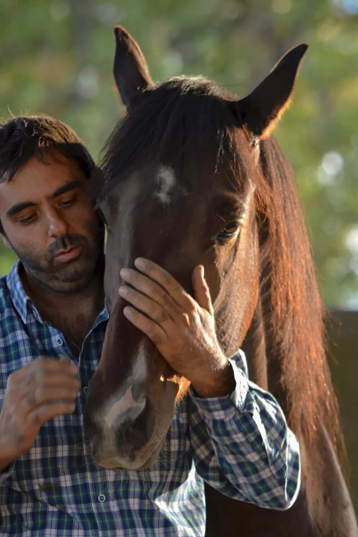 Ariel Corse, veterinario y presidente de ACMA.