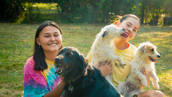 Crecen las guarderías de perros en la región: la opción para las mascotas en vacaciones