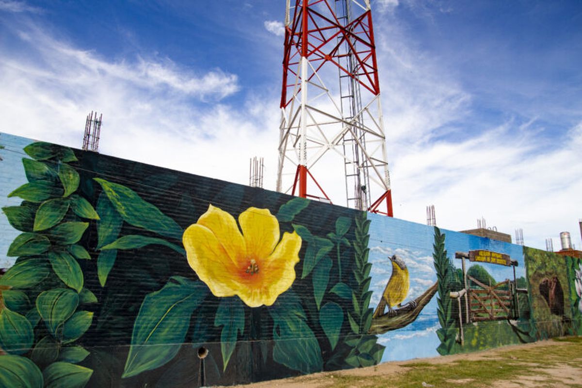 San Vicente: pintaron un impactante mural en la futura subestación eléctrica