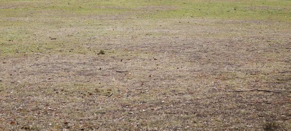 Complicaciones en Canning por la prolongada sequía: alertan por la baja de las napas