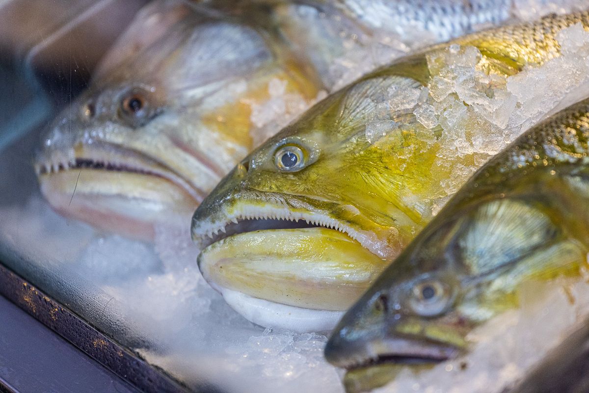 El Municipio de Almirante Brown brind&oacute; una serie de pautas para comprar.