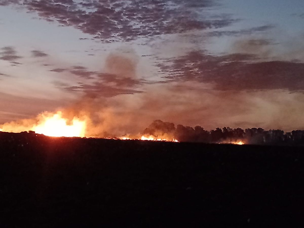San Vicente: incendio de grandes proporciones en las inmediaciones del Ecopunto