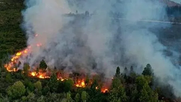 incendios en el bolson: en zona sur juntan donaciones para colaborar con la zona de desastre