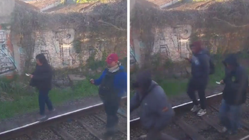 Interrupción en el servicio del Tren Roca entre Burzaco y Adrogué: pasajeros caminaron por las vías