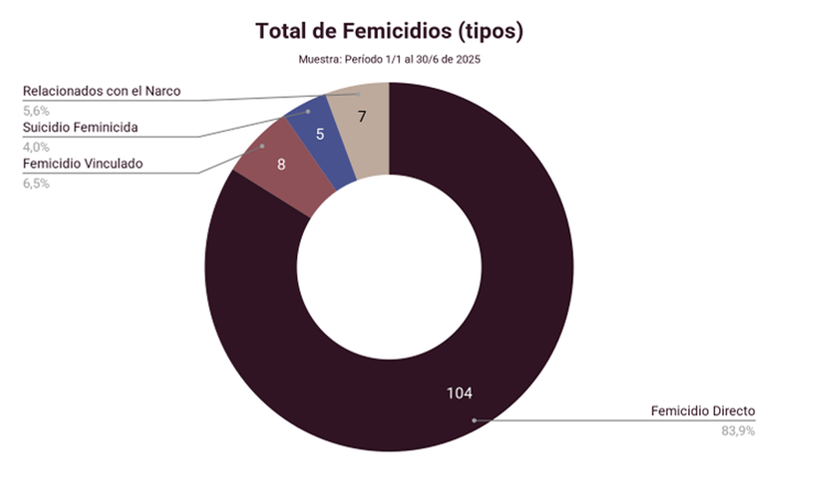 Casi un 6% de los femicidios son relacionados con el narcotrafico