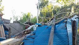 un arbol y un poste cayeron sobre una casa en llavallol: vecinos piden ayuda