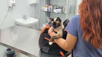 El primer Hospital Municipal Veterinario de Esteban Echeverría ya inauguró y recibió a cientos de mascotas