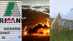 Lo que dejó el 2025 en Canning: triunfos deportivos, conflictos y vida social