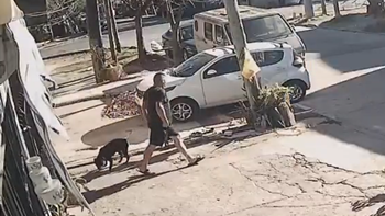 Lomas: abandonó a una perra