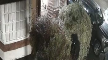 Lomas de Zamora: ladrones entraron a la casa de un policía retirado