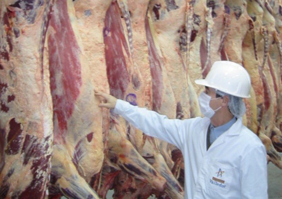El gobierno defini&oacute; precios accesibles a distintos cortes de carne.