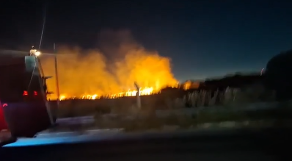 El incendio se desat&oacute; en cercan&iacute;as al Aeropuerto Internacional de Ezeiza.