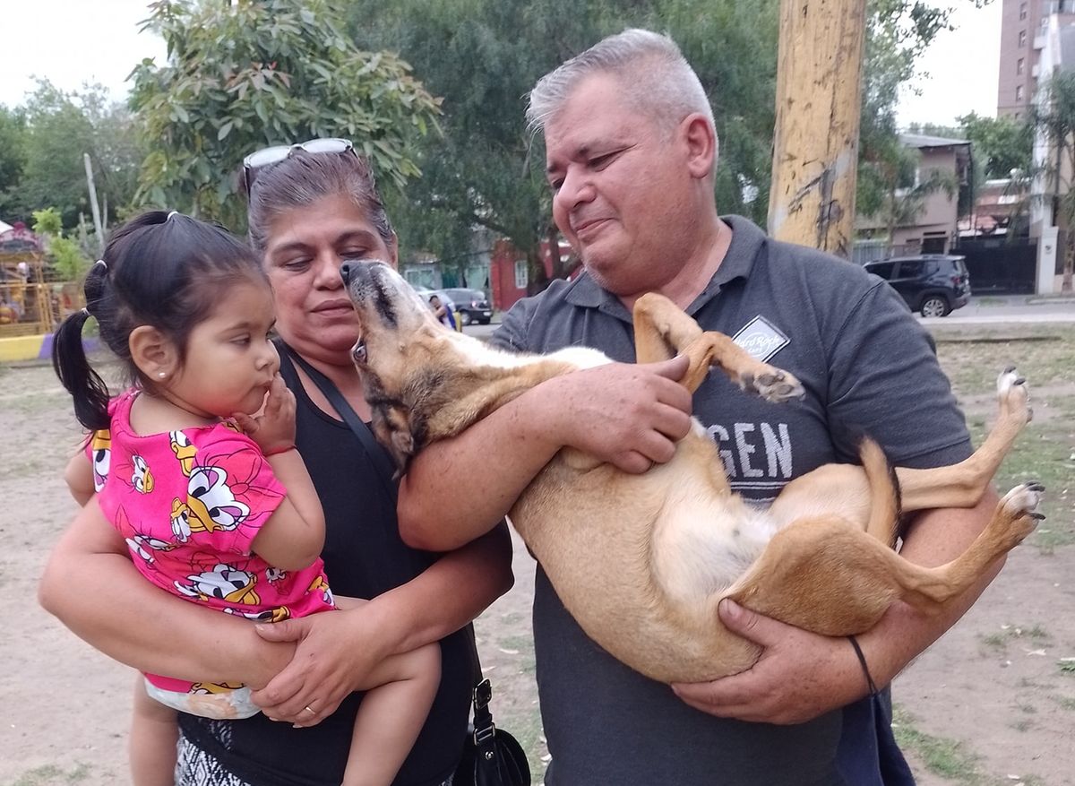 Emotivo reencuentro con su familia de la perrita de Lanús que había sido viral por su tristeza