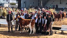 cuatro animales de la universidad de lomas se lucieron en la rural