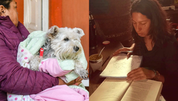 agenda de talleres del municipio de san vicente: astrologia creativa y capacitacion en derecho animal