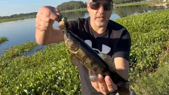 Pesca en la laguna de San Vicente: un vecino siembra peces y asegura que ya se ven los resultados