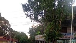 monte grande: un auto termino sobre la darsena tras un accidente