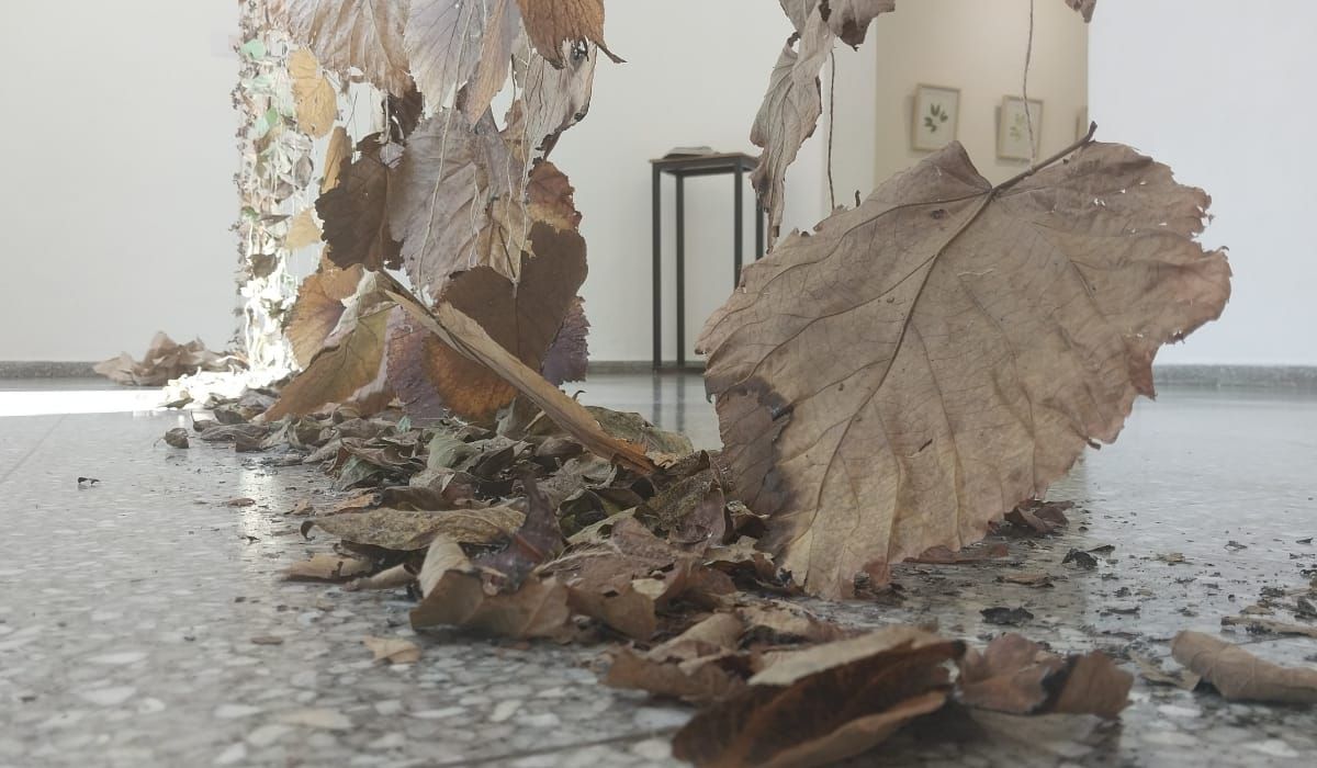 Llamativa muestra artística en Monte Grande: obras con hojas de árbol