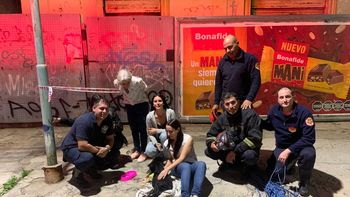 Día del Animal: bomberos de Lomas salvaron a una perra atrapada en un desagüe