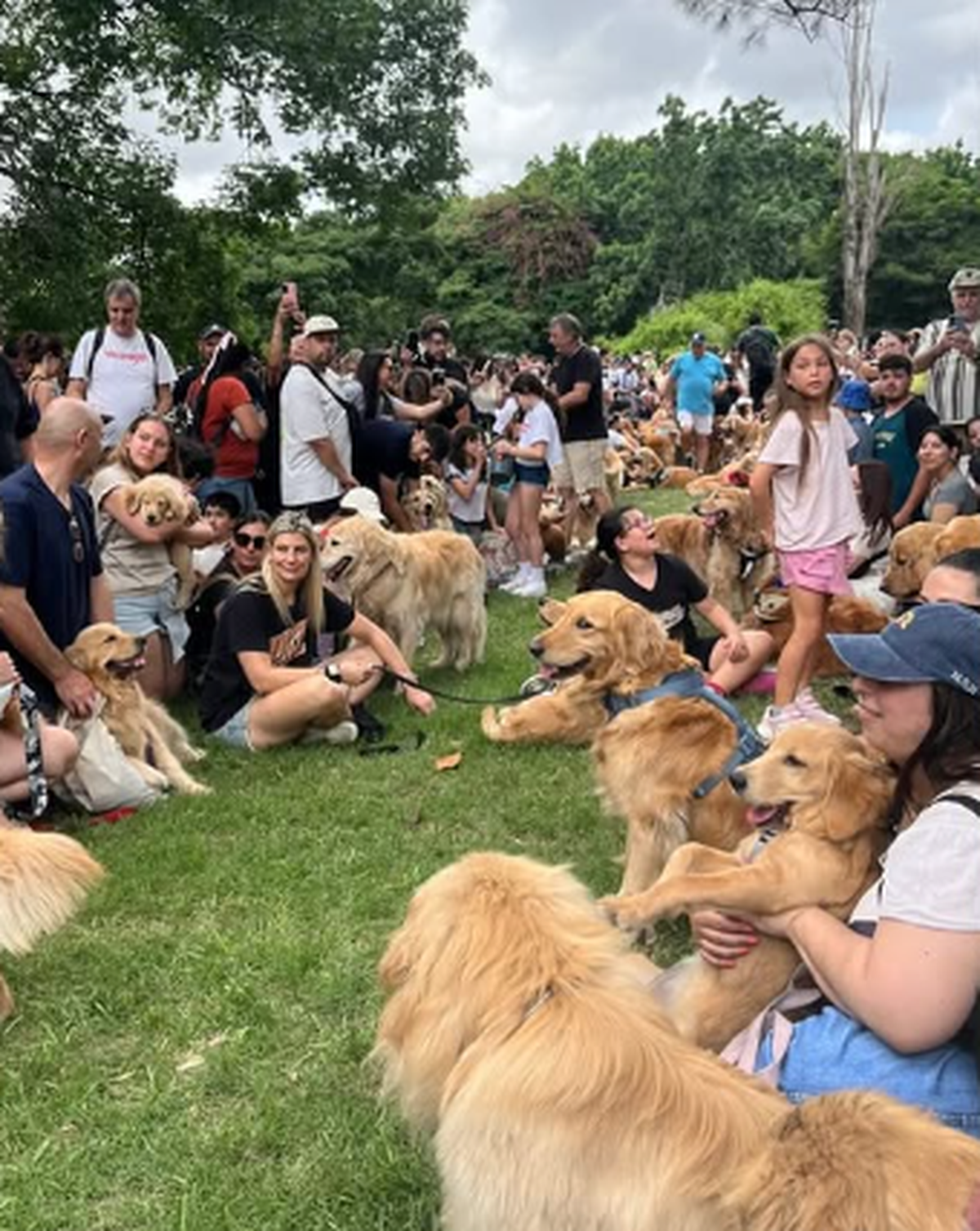 Según informó el propio organizador, de Monte Grande, en total fueron 2.397 los perros que participaron del encuentro. Según informó el propio organizador, de Monte Grande, en total fueron 2.397 los perros que participaron del encuentro.