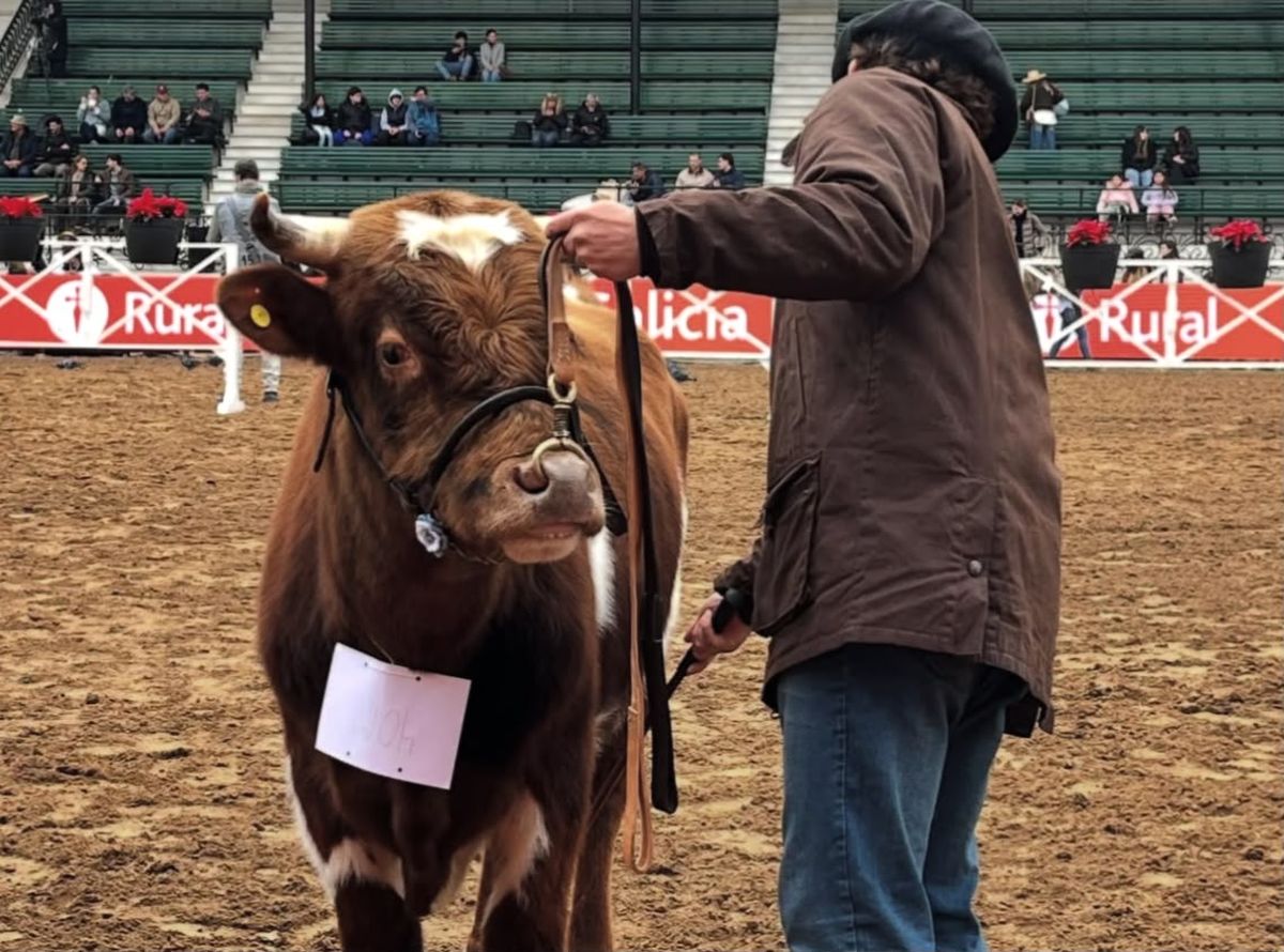 El proyecto de la Facultad de Ciencias Agrarias de la UNLZ obtuvo los principales premios de la raza Criolla en la Exposición Rural de Palermo. El proyecto de la Facultad de Ciencias Agrarias de la UNLZ obtuvo los principales premios de la raza Criolla en la Exposición Rural de Palermo.