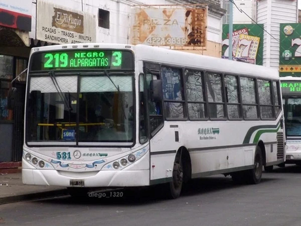 Entre las empresas afectadas por el paro de colectivos se encuentran Micro Ómnibus General San Martín S.A.C. (MOGSM) y Micro Ómnibus Quilmes S.A. (MOQSA), cuyas líneas permanecen sin funcionamiento.