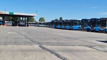 Paro de colectivos del Grupo Dota en Zona Sur: cuatro líneas no circularán hasta nuevo aviso