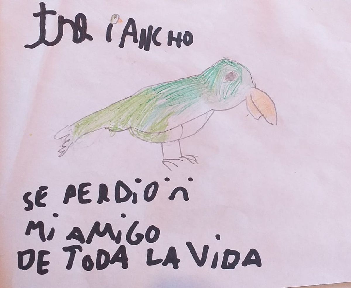 El dibujo del nene para buscar a su mascota