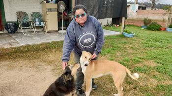 La vecina de Domselaar que sostiene un refugio a pulmón: Nadie adopta a los perros negros