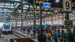problemas en constitucion generan atrasos en cinco ramales del tren roca