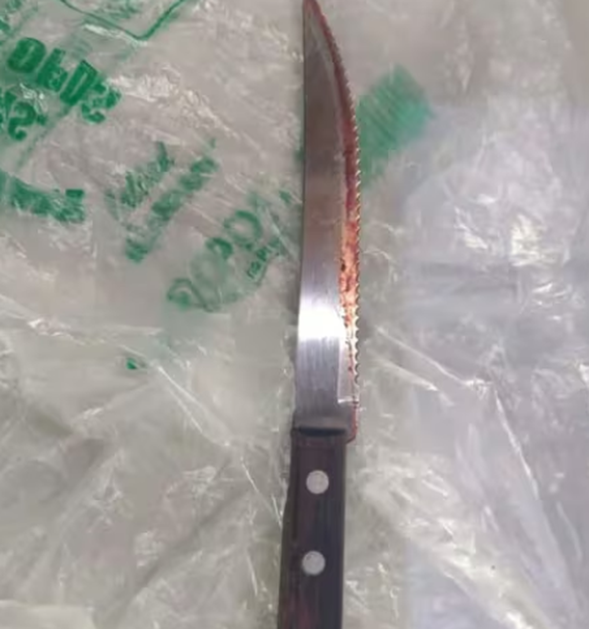 El cuchillo con el que la mujer habr&iacute;a herido al adolescente.