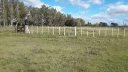 desfile y fiesta de campo por el dia nacional del gaucho en san vicente