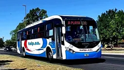 linea 338: extienden por 10 anos su funcionamiento en el conurbano