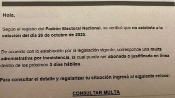La Cámara Nacional Electoral advirtió por una estafa virtual tras las elecciones legislativas: cómo evitarla