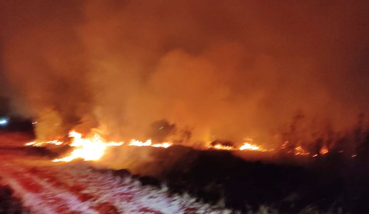 Incendio de pastizales en Lomas de Zamora: se quemó una importante superficie
