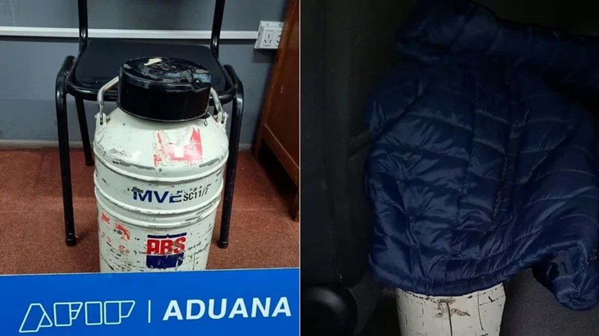 Insólito: la Aduana secuestró un recipiente con semen de toro valuado en una cifra millonaria