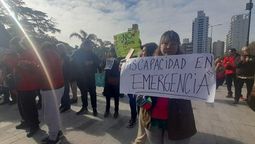 la justicia declaro inconstitucional el veto a la ley de emergencia en discapacidad