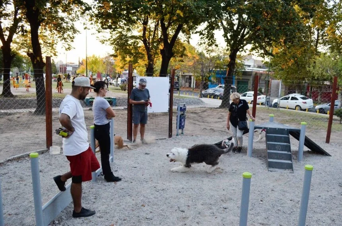 El encuentro se realizará este sábado en Plaza Grigera con actividades y servicios gratuitos para animales.
