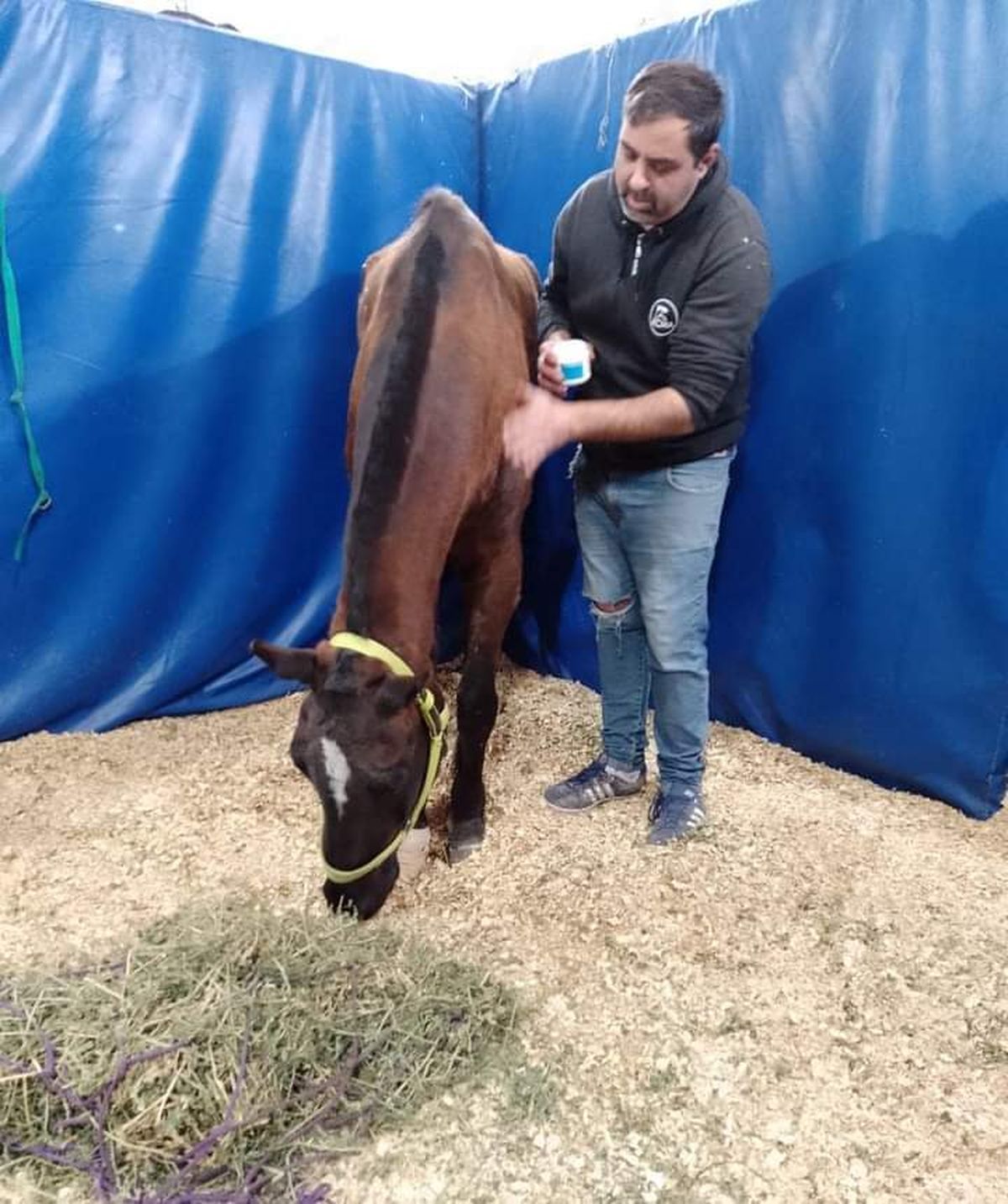 Desde ACMA llevaron adelante el rescate de 